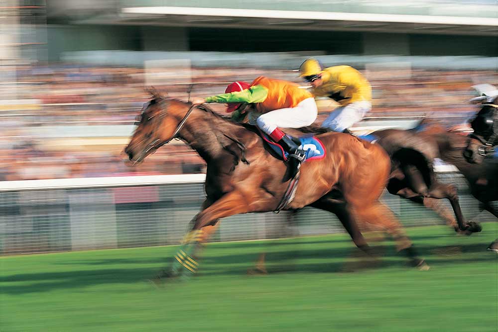 Horse racing