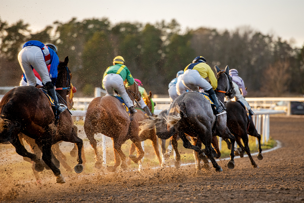 Horse racing